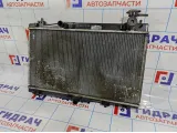 Радиатор основной Chery indiS S181301110 DB.