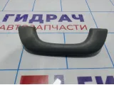 Ручка внутренняя потолочная Chevrolet Lacetti (J200)