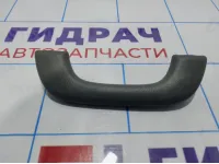 Ручка внутренняя потолочная Chevrolet Lacetti (J200) Ручка внутренняя потолочная Chevrolet Lacetti (J200)