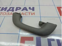 Ручка внутренняя потолочная Chevrolet Lacetti (J200)