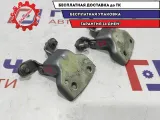 Петли двери передней правой Chevrolet Aveo 96541424. Пара.