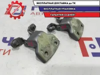 Петли двери передней правой Chevrolet Aveo 96541424. Пара.