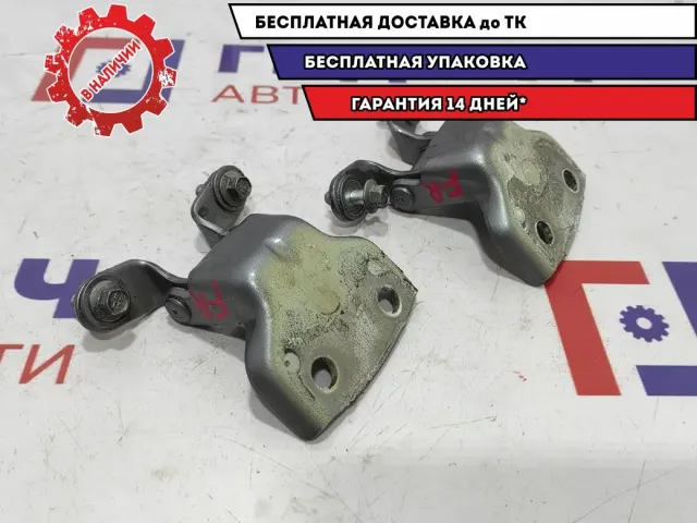 Петли двери передней правой Chevrolet Aveo 96541424. Пара.