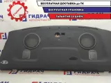 Полка задняя Chevrolet Aveo 95228079. Дефект.