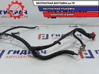 Жгут проводов на АКБ Chevrolet Aveo 96650895.
