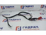 Жгут проводов на АКБ Chevrolet Aveo 96650895.