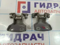 Петли двери передней правой Chevrolet Aveo (T250)