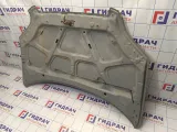 Капот Chevrolet Aveo (T250) 96649257