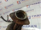 Горловина топливного бака Chevrolet Aveo (T250) 96653841