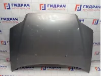Капот Chevrolet Aveo 96297541