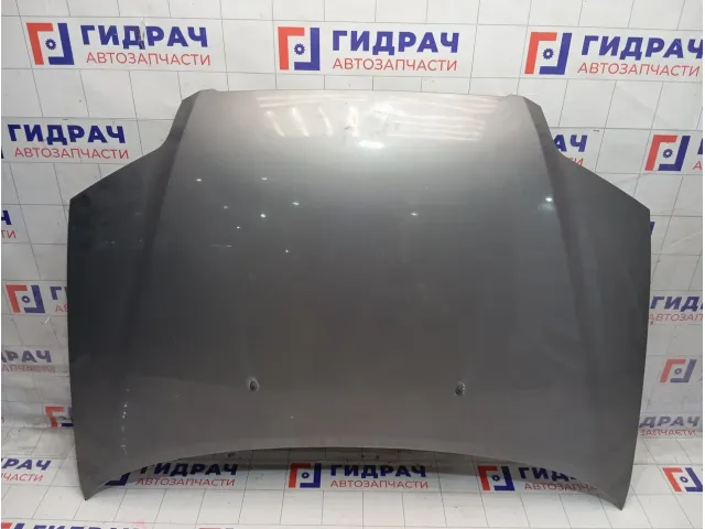 Капот Chevrolet Aveo 96297541