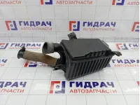 Корпус воздушного фильтра Chevrolet Aveo 96536694