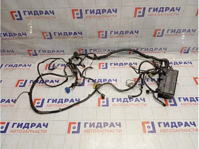 Проводка подкапотная Chevrolet Aveo