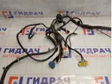 Проводка подкапотная Chevrolet Aveo