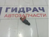Форсунка инжекторная Chevrolet Aveo 96518620