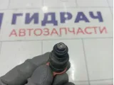 Форсунка инжекторная Chevrolet Aveo 96518620