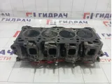 Головка блока (ГБЦ) Chevrolet Aveo 96666228