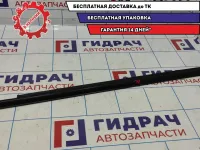 Накладка стекла заднего левого Chevrolet Aveo T250 96649130.