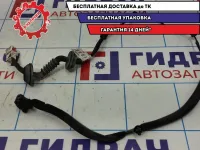 Проводка (коса) задней левой двери Chevrolet Aveo T250 96652081.