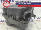 Корпус воздушного фильтра Chevrolet Aveo T250 42386920.
