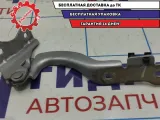 Петля капота левая Chevrolet Aveo T250 96806776.
