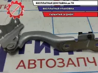 Петля капота левая Chevrolet Aveo T250 96806776.