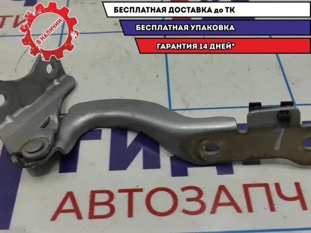 Петля капота левая Chevrolet Aveo T250 96806776.