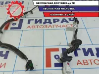 Проводка двери задней Chevrolet Aveo Т250 96652081.