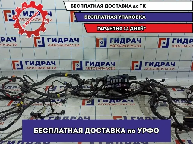 Проводка моторного отсека Chevrolet Aveo Т250 .