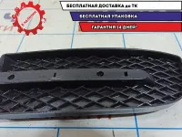 Решетка в бампер правая Chevrolet Aveo Т250 96648786.