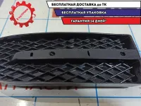 Решетка в бампер левая Chevrolet Aveo Т250 96648785.