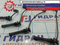 Провода высокого напряжения Chevrolet Aveo Т250 96651945.