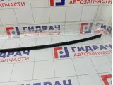 Молдинг крыши левый Chevrolet Aveo 96648565