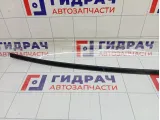 Молдинг крыши правый Chevrolet Aveo 96648566