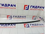 Молдинг крыши правый Chevrolet Aveo 96648566