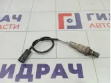 Датчик кислородный/Lambdasonde Chevrolet Aveo 96423429