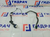 Проводка двери задней левой Chevrolet Aveo 96826875