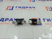 Петли двери задней левой Chevrolet Aveo