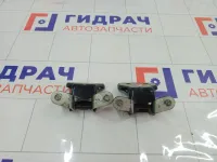 Петли двери задней правой Chevrolet Aveo