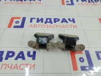 Петли двери передней правой Chevrolet Aveo