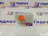 Бачок расширительный Chevrolet Aveo 96815542