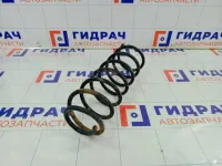 Пружина задняя Chevrolet Aveo 96653225