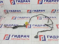 Проводка двери задней правой Chevrolet Aveo 95936153