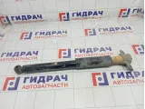 Амортизатор задний Chevrolet Aveo 95077490