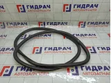 Уплотнитель двери передней левой Chevrolet Aveo 95190186