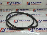 Уплотнитель двери передней левой Chevrolet Aveo 95190186