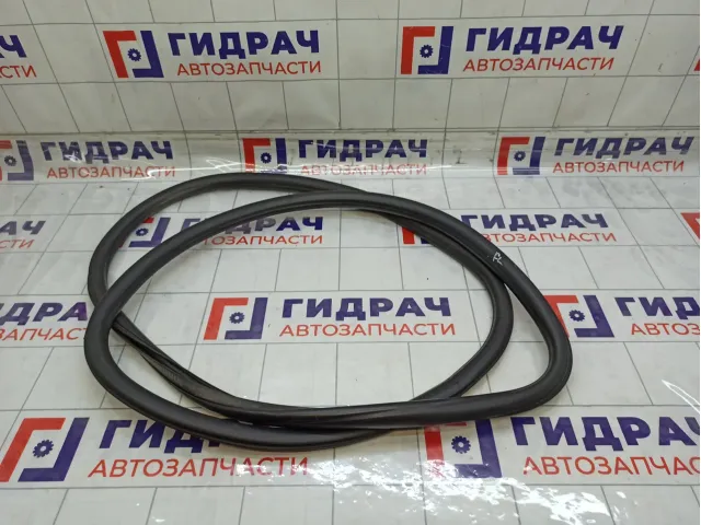 Уплотнитель двери передней левой Chevrolet Aveo 95190186