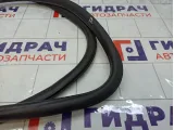 Уплотнитель двери передней левой Chevrolet Aveo 95190186