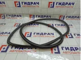 Уплотнитель двери передней левой Chevrolet Aveo 95190186