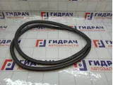 Уплотнитель двери передней правой Chevrolet Aveo 95190187
